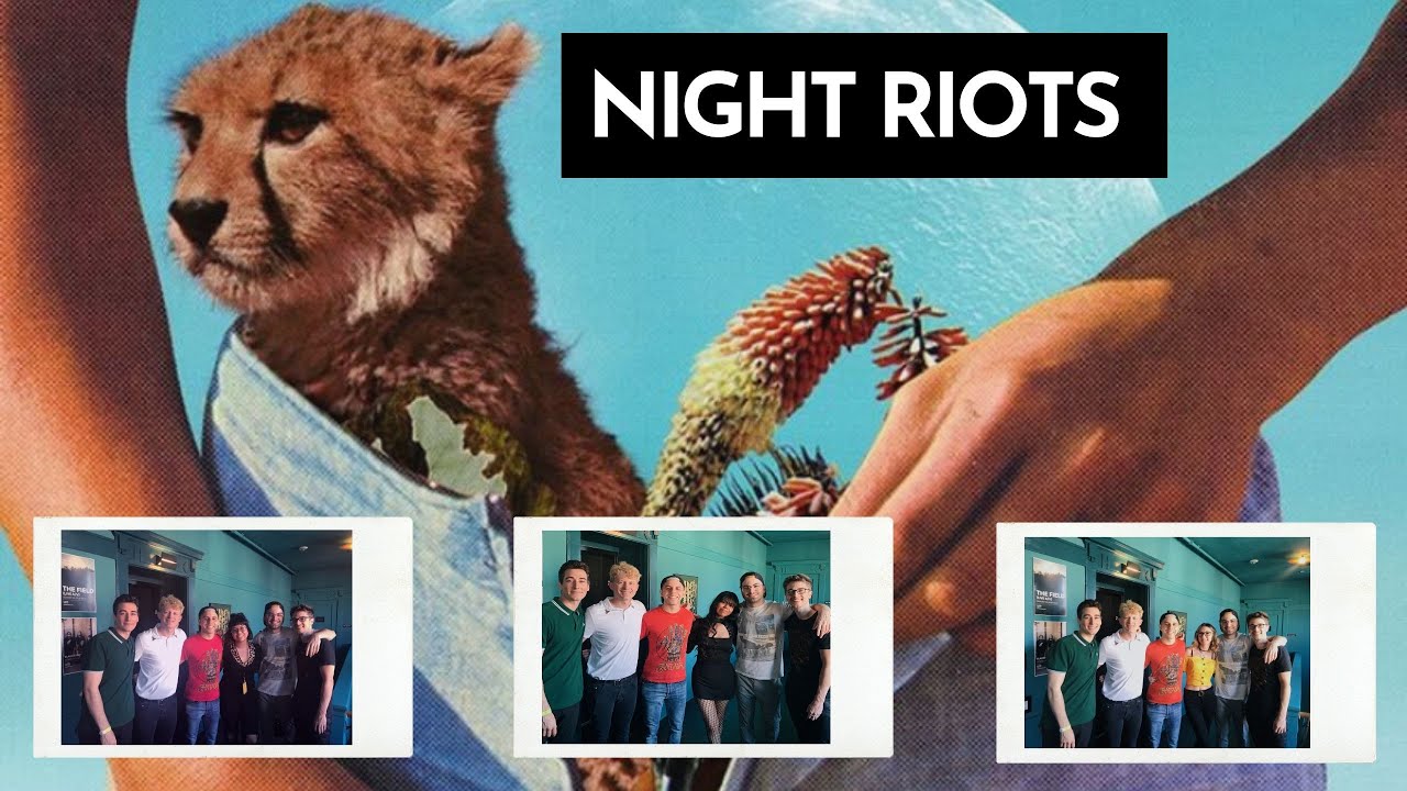 NIGHT RIOTS LIVE IN SANTA ANA & LA VLOG