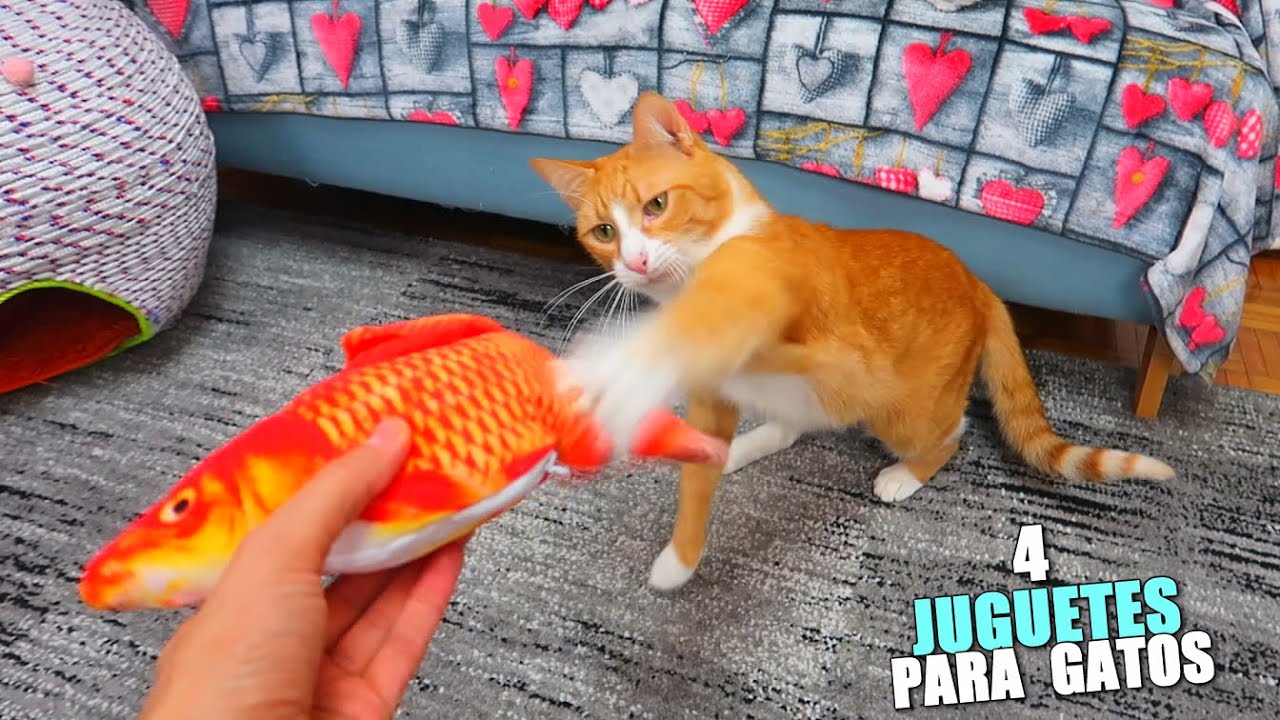 4 JUGUETES PARA GATOS