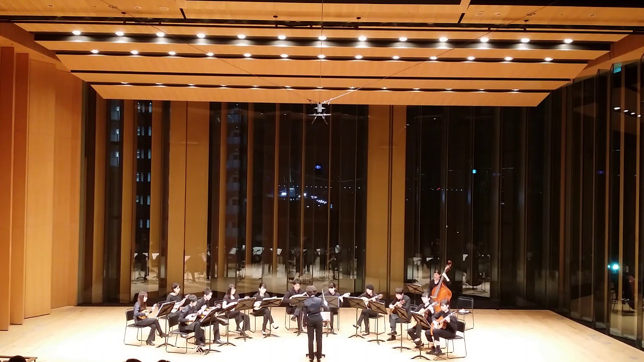 カナル・グランデへのセレナータ（F.P.Neglia）