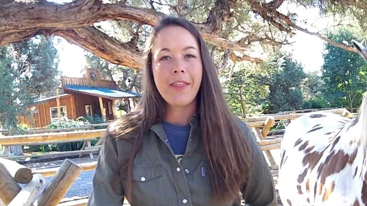 2013 Interns - Rewind