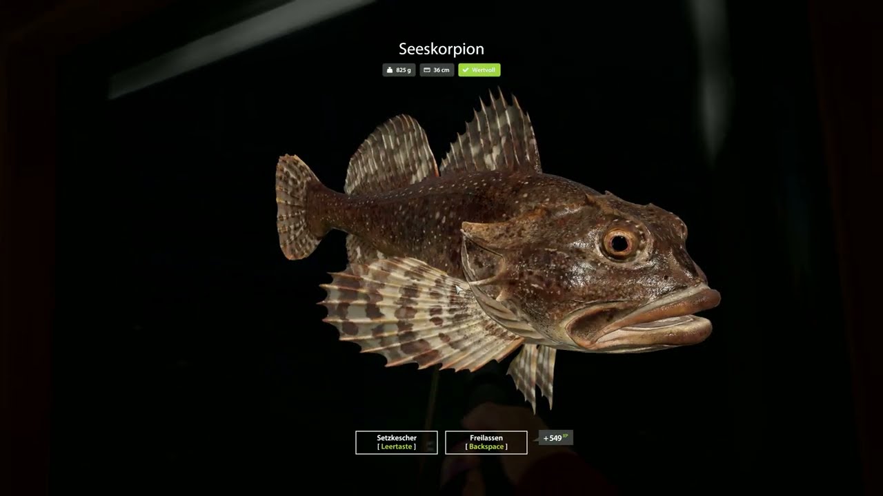 Russian Fishing 4 Europäischen Nordmeer Spot
