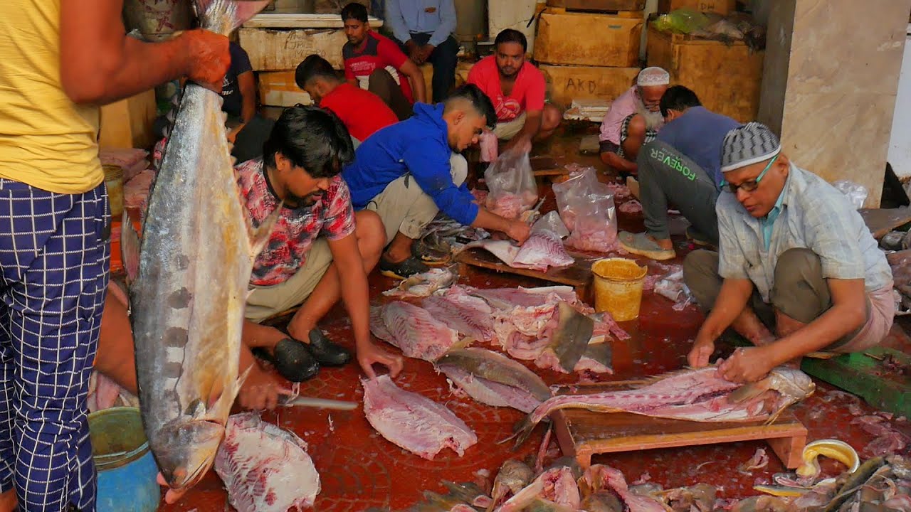 India's Biggest Wholesale Fish Market Tour| Howrah Fish Market, Kolkata