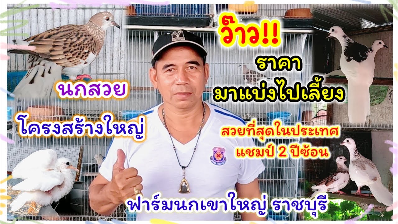 ว๊าว!! ราคามาแบ่งไปเลี้ยง นกสวยที่สุดในประเทศ แชมป์ 2 ปีซ้อน ฟาร์มนกเขาใหญ่ บ้านนกสวย จ.ราชบุรี