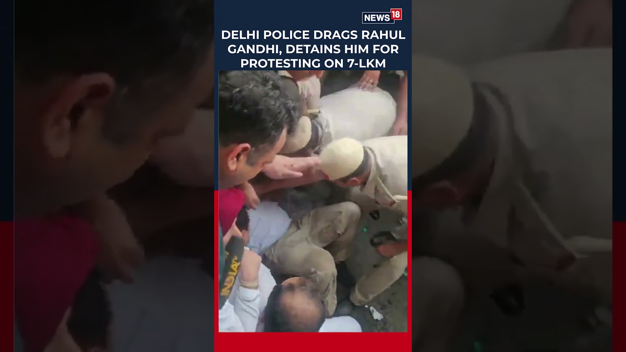 Рахул Ганди задержан полицией Дели во время протеста оппозиции на Лок Кальян Марг | N18S