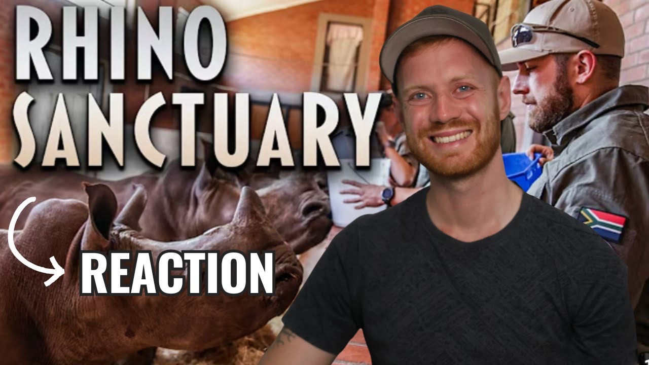 Nashorn Babys Retten! Auffangstation für Nashörner - Reaction  | 135. Livestream