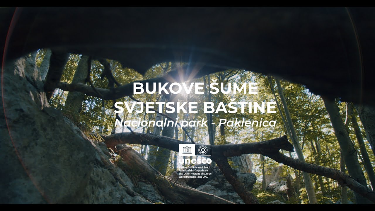 Bukove šume Svjetske baštine Nacionalni park Paklenica
