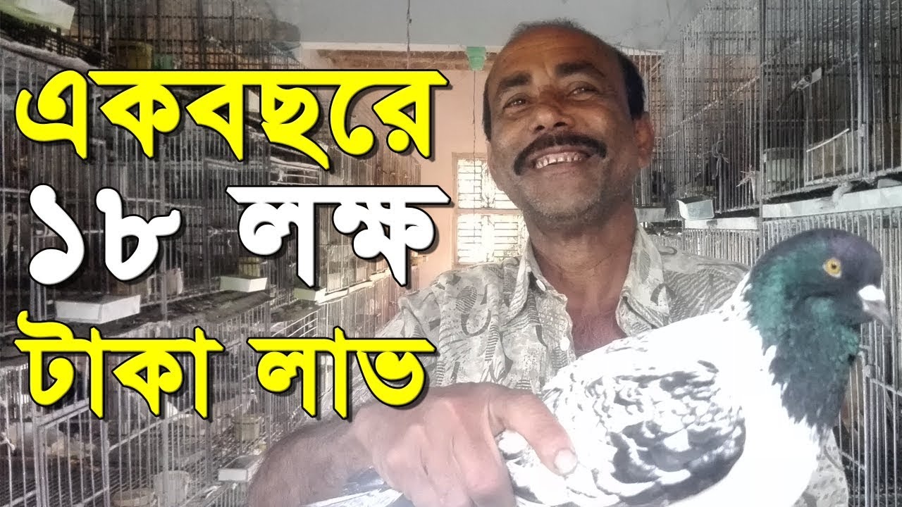এক বছরে ১৮ লক্ষ টাকা লাভ কবুতর বিক্রি করে | Pigeons Farm in BD | Babul Kobutor Farm - Uddokta TV