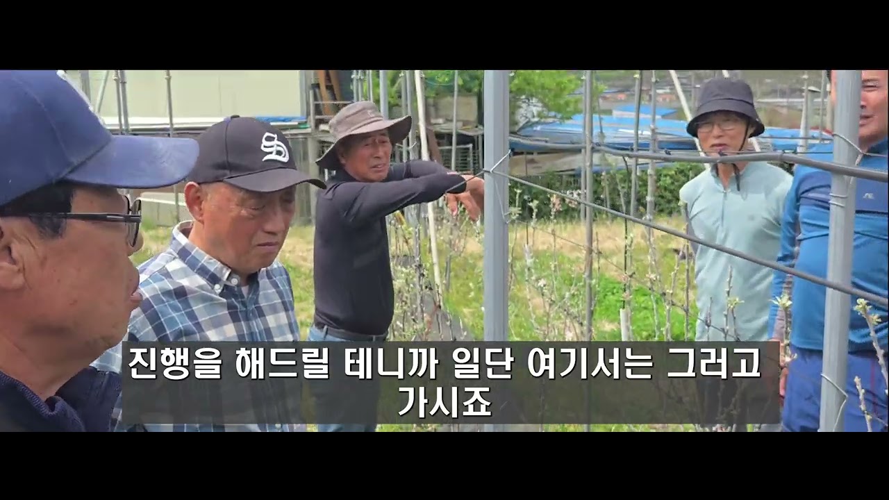 4월 경영농원 사과 다축현장 교육영상 입니다