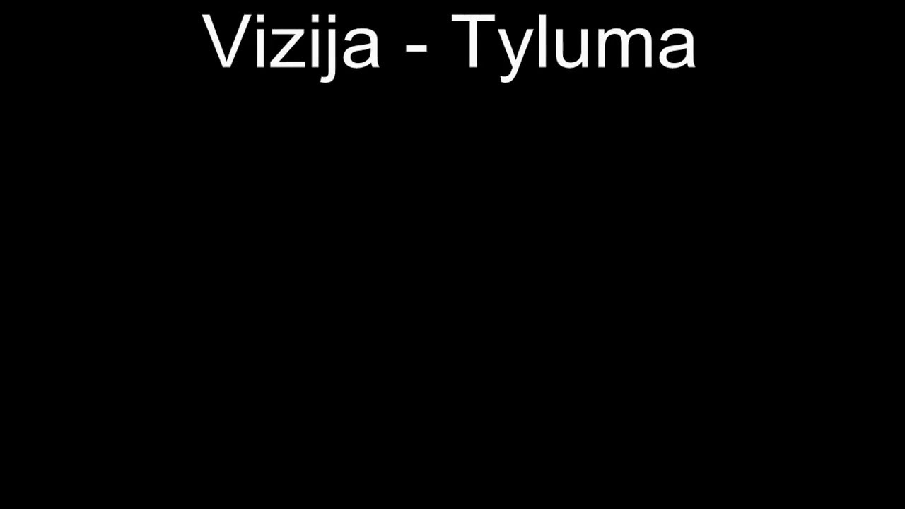 Vizija - Tyluma