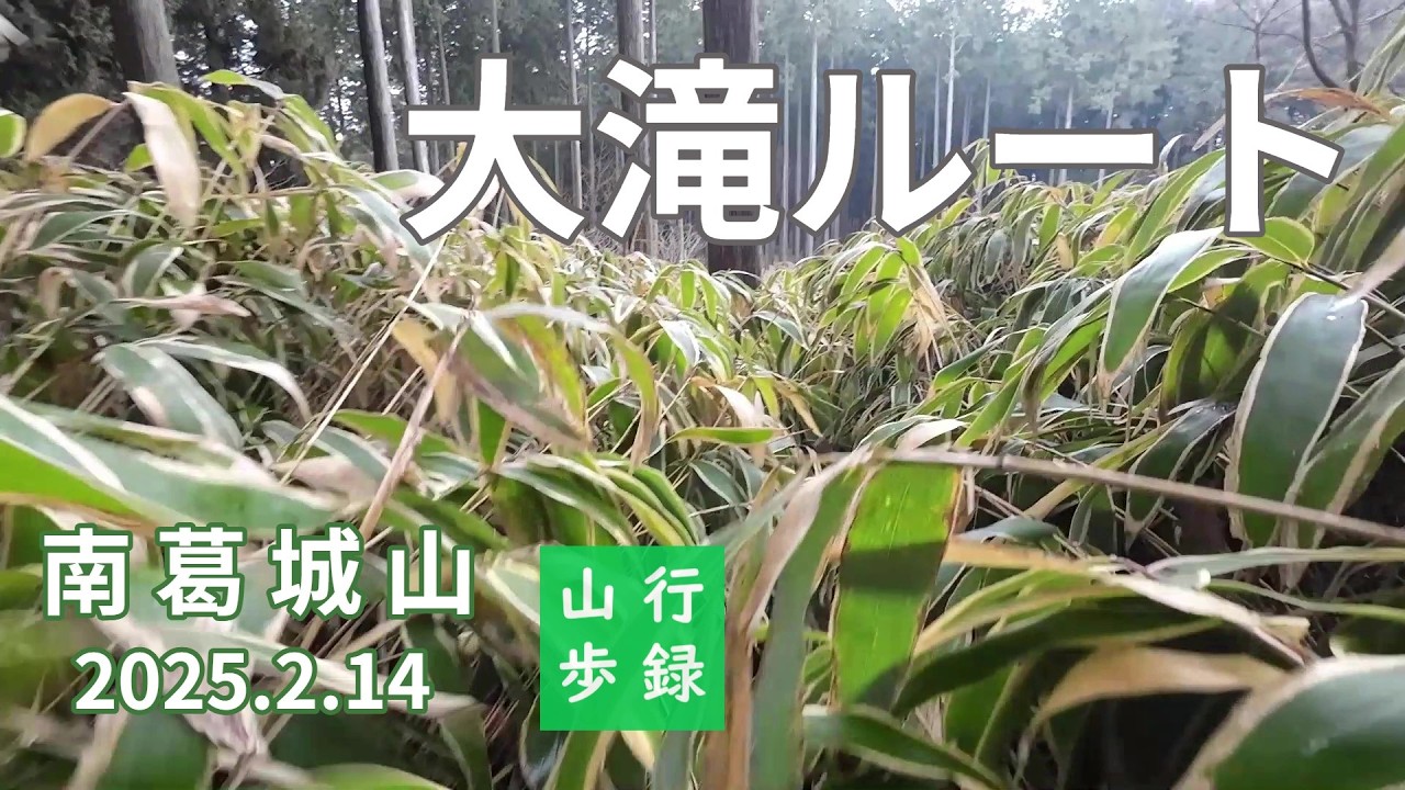 『南葛城山』（大滝ルート）