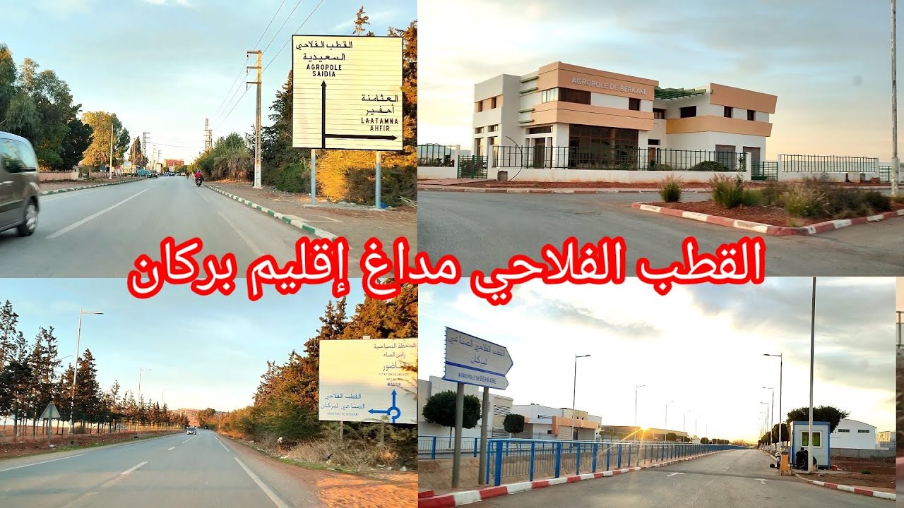 Berkane Madagh today القطب الفلاحي  إقليم بركان بدون معامل كبيرة ترقى لتطلعات الشباب البركاني