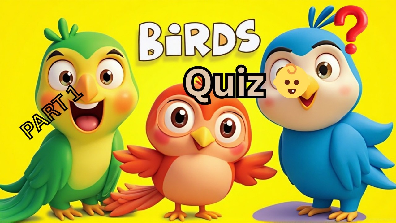 Toto Kids | Birds Quiz for Kids 🐦 | Guess the Bird | Preschool Learning