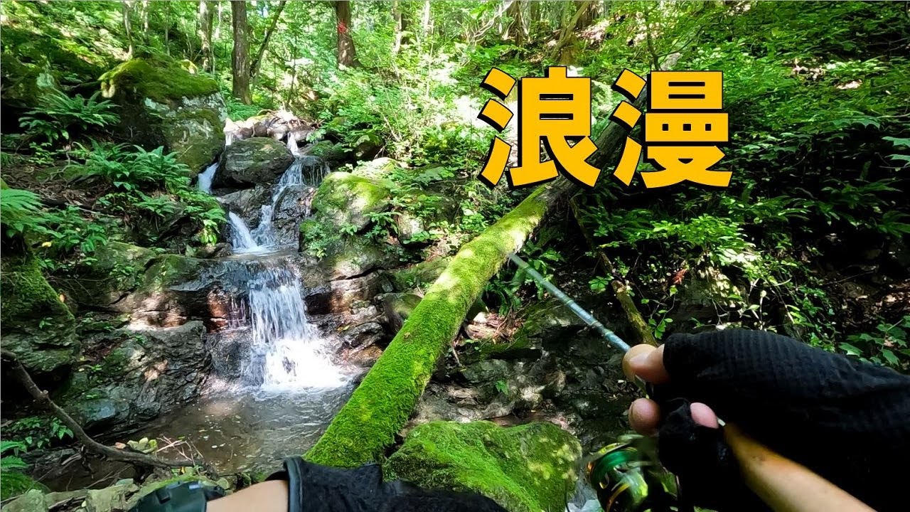 【渓流ルアー】ぴゅあぴゅあ岩魚がいるチョロ沢探訪の一日