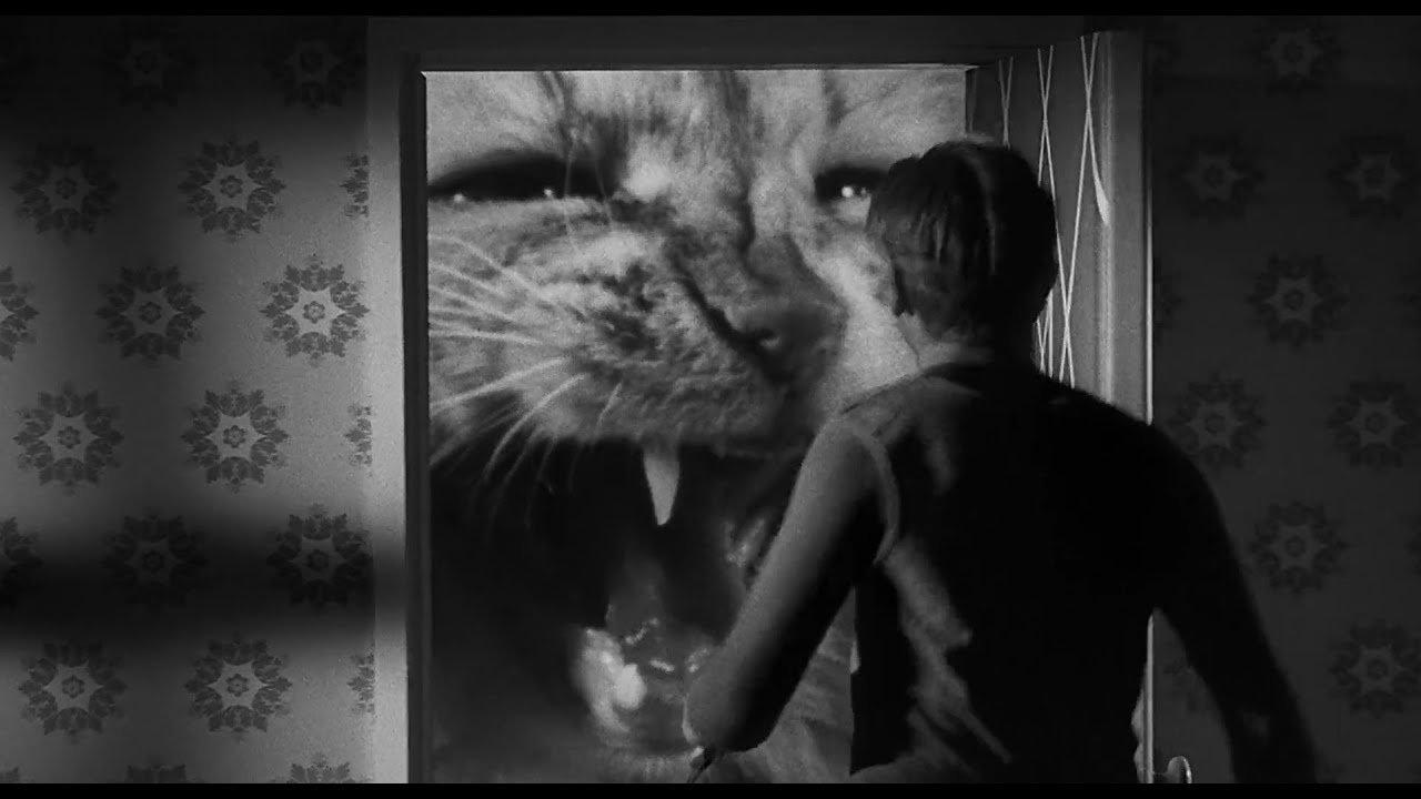 The Incredible Shrinking Man (1957) - Cat Scene