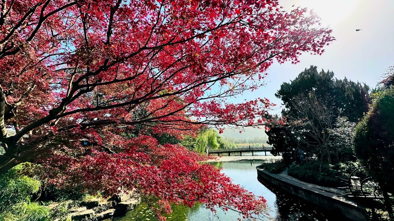 西湖美景￼