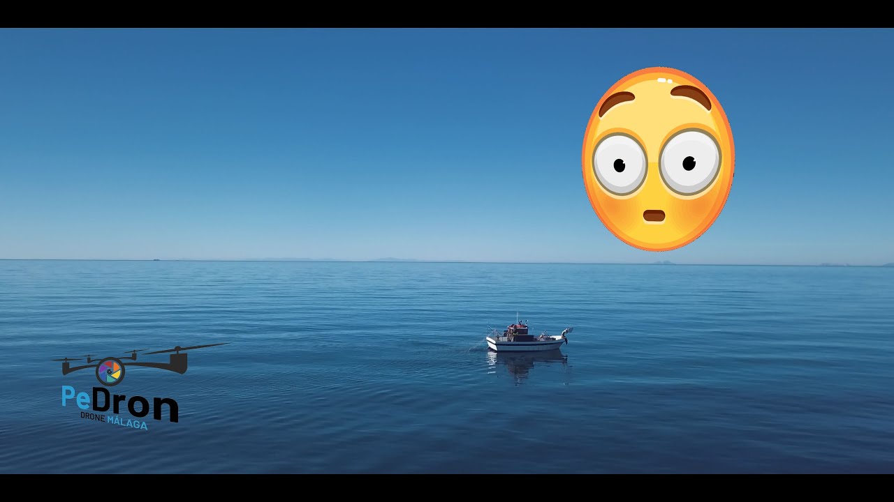 Una de Naos - 4K - Maravillas del mar