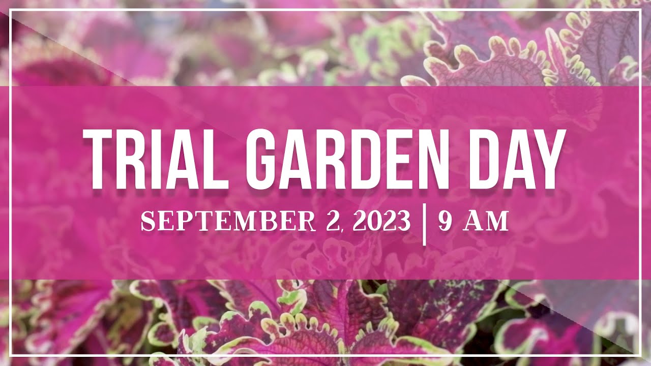 Bauman's Trial Garden Day | September 2, 2023