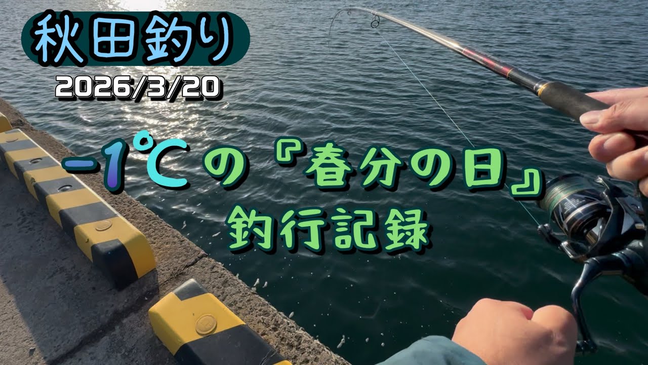【秋田釣り】春分の日でも春はまだ遠い東北日本海　稚魚はちらちら発見 #秋田 #釣り 