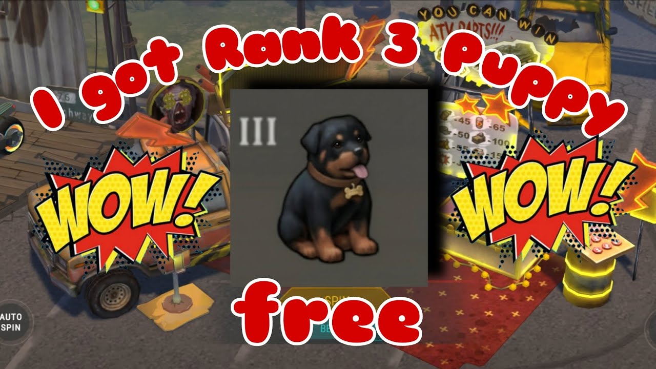 I got two rank-3 puppys free!! @ThantZin-x5b 
