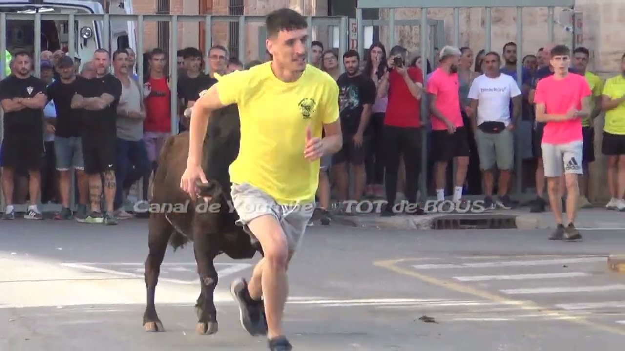 CARPESA ( V ) 14/09/2024 - BUENAS VACAS Y BUENOS DETALLES EN EL ESPECIAL GANADERIA VTE.BENAVENT