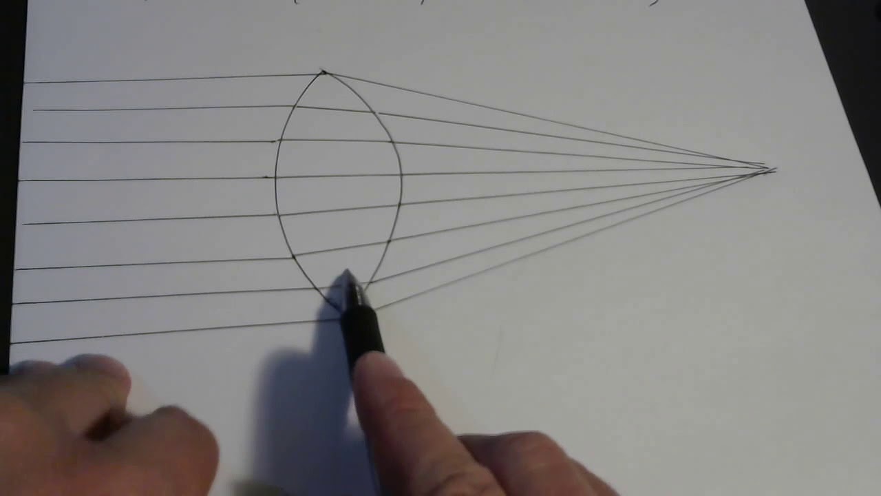 Refraction of a Bundle of Parallel Rays by Converging and Diverging Lenses