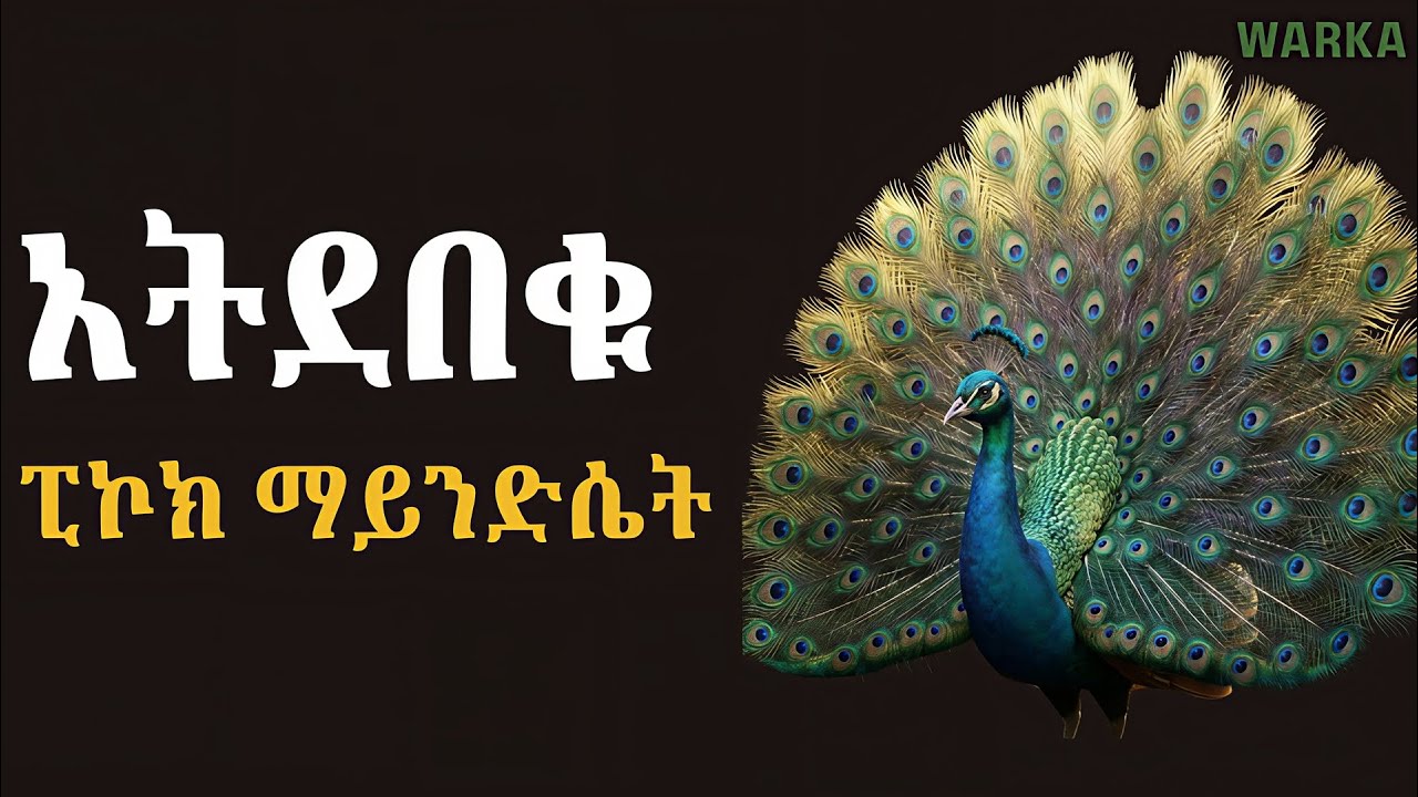 ከህልውና በላይ መገለጥ ፡ የፒኮክ አስተሳሰብ | 5 Rules for Becoming Your True Self
