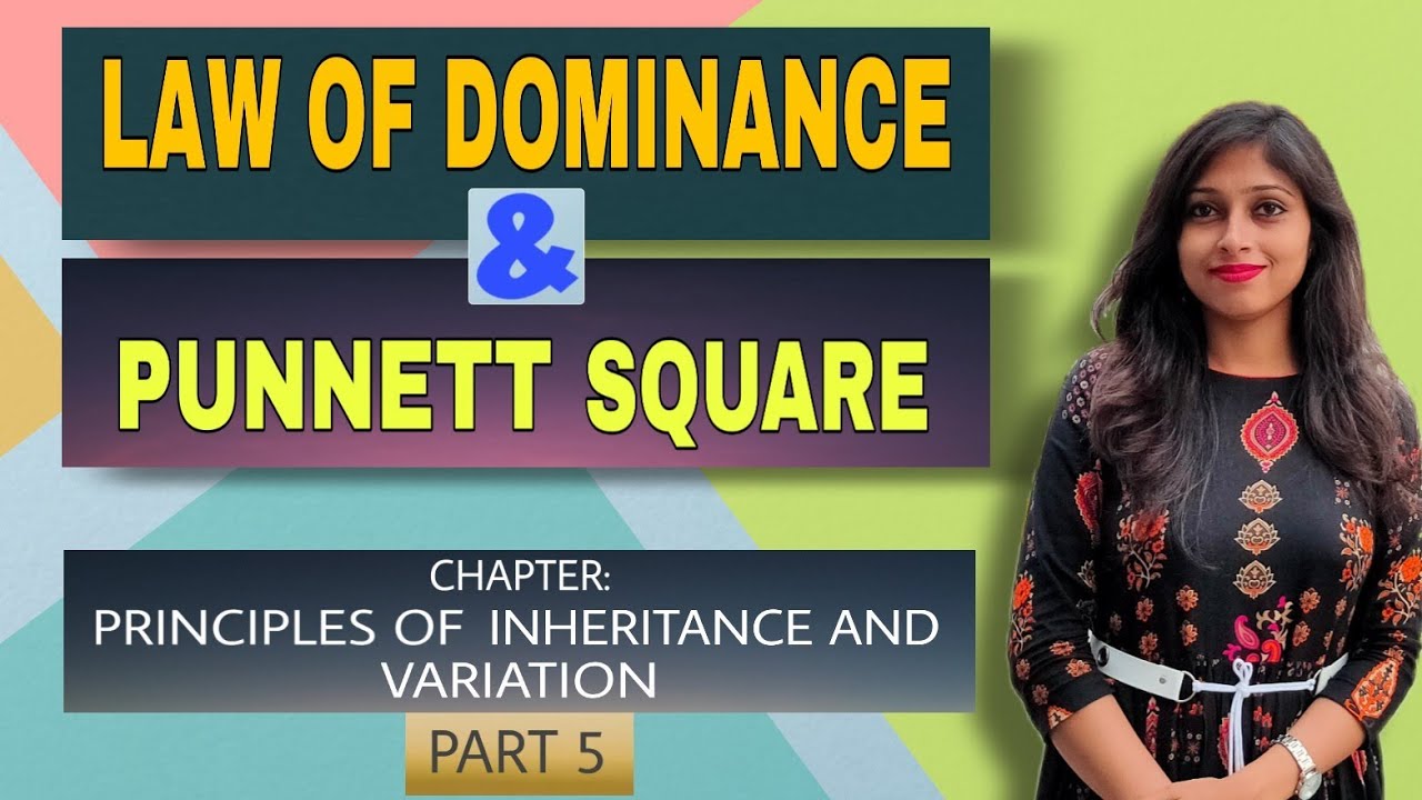 Law of Dominance & Punnett Square In Assamese /Part-5/ Class 12 Biology|| AHSEC