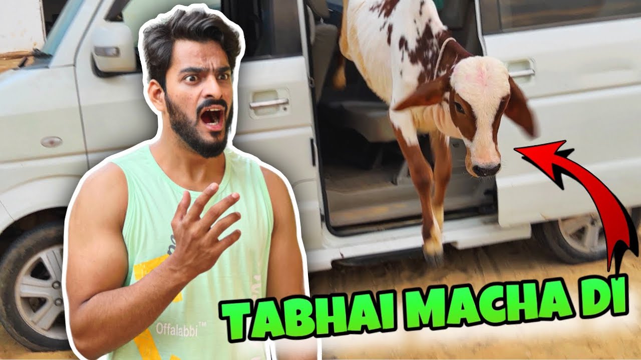 JUGNOO IS NO MORE WITH US😭 | TABAHI MACHA DI | MISHKAT KHAN