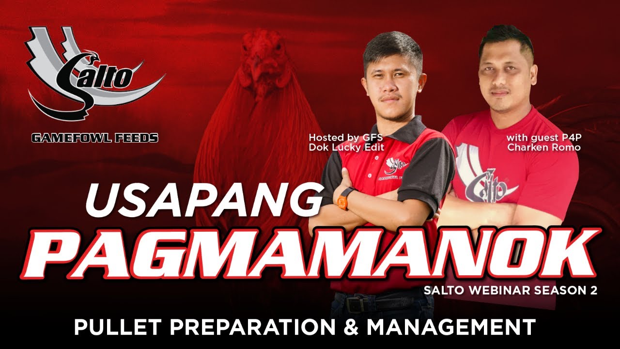 Usapang Pagmamanok - Pullet Scheduling & Management