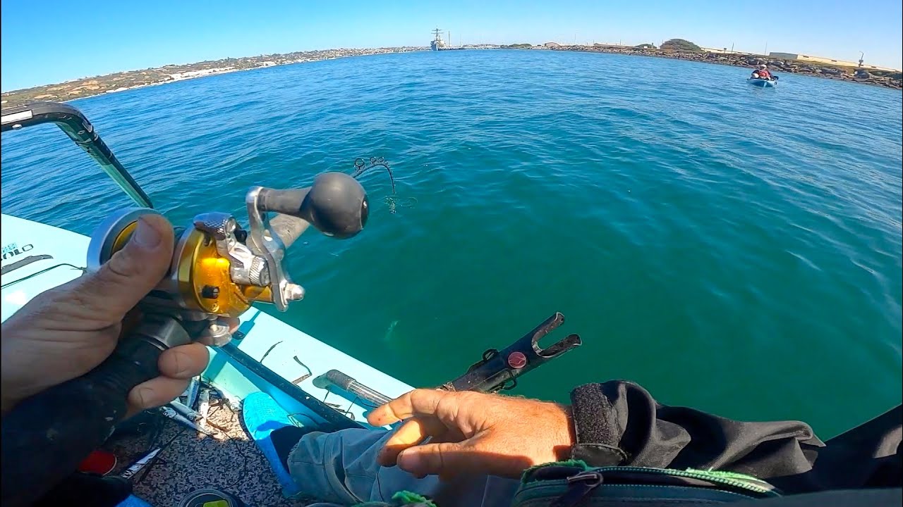 Halibut Heartbreaker | Fishing Live Sardines San Diego Bay | SDFS April 2022