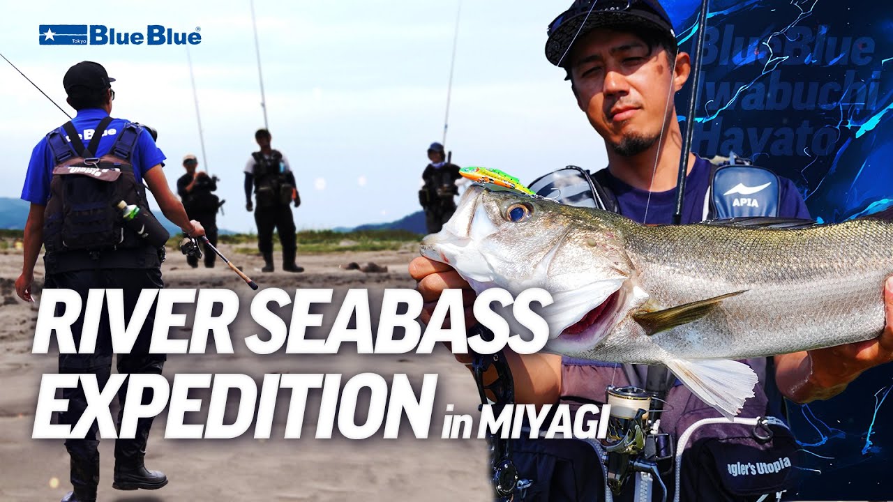 «Благодарен за друзей и рыбу» Речная рыбалка Seabass в Мияги, Япония