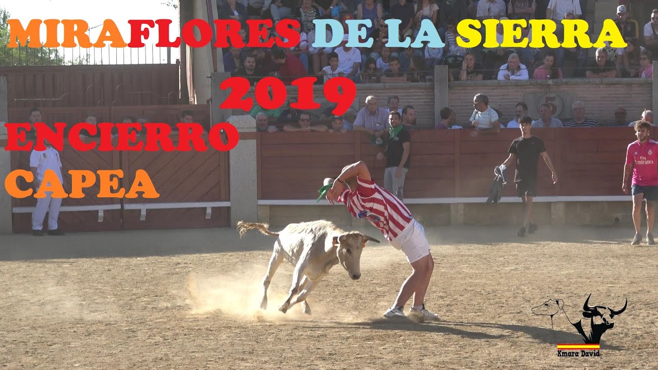 Encierro y capea Miraflores de la Sierra, 14 agosto 2019