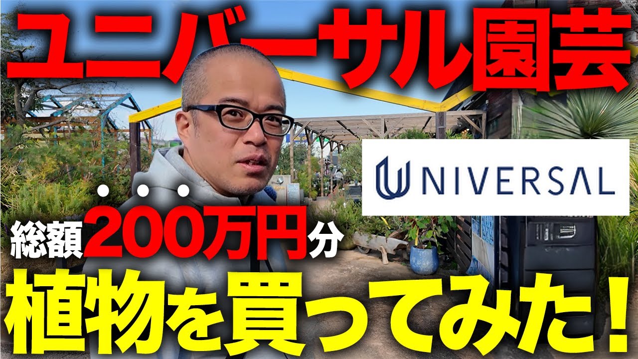 飛び込み営業から200万円分の観葉植物を爆買いしてみた。ユニバーサル園芸社に潜入取材