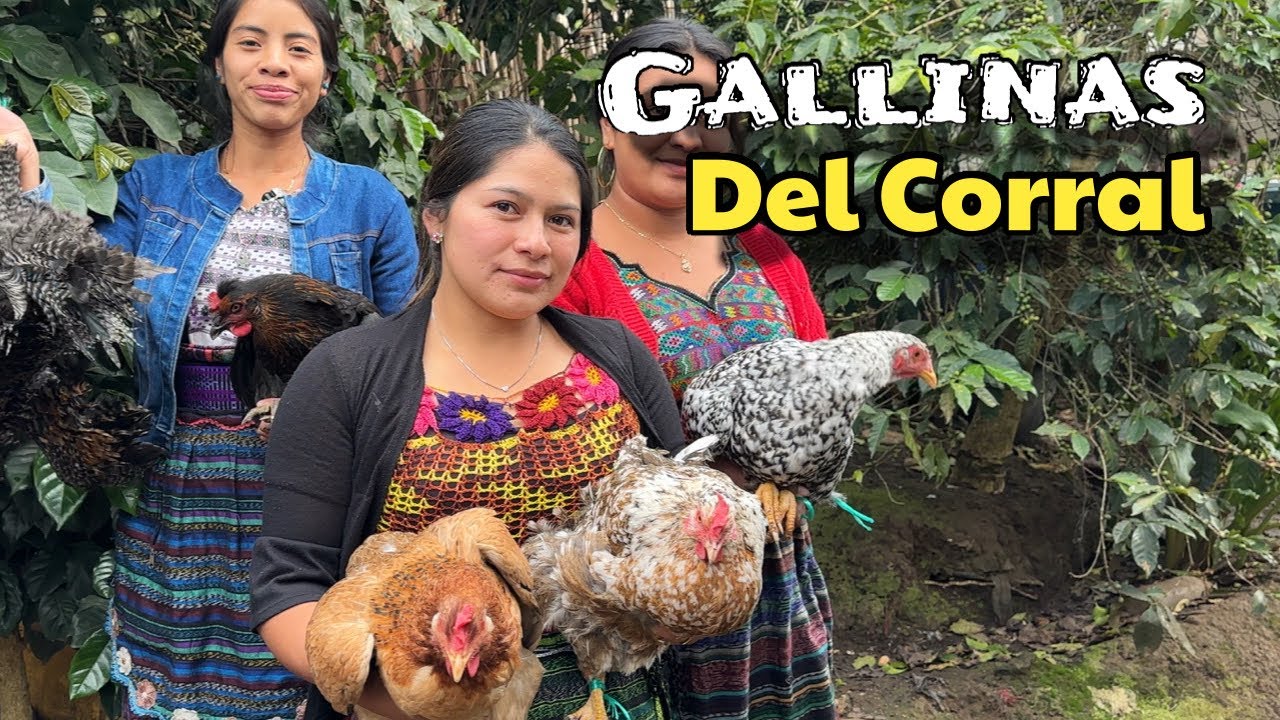 BLANCA Nos VENDIÓ Unas GALLINAS, Será Para Unos SUSCRIPTORES 