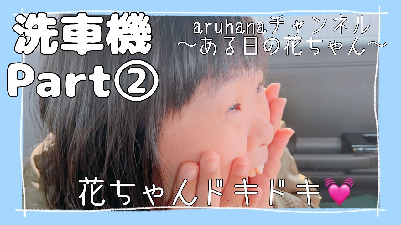 【洗車機Part②】〜ある日の花ちゃん〜洗車機で洗車と車内清掃