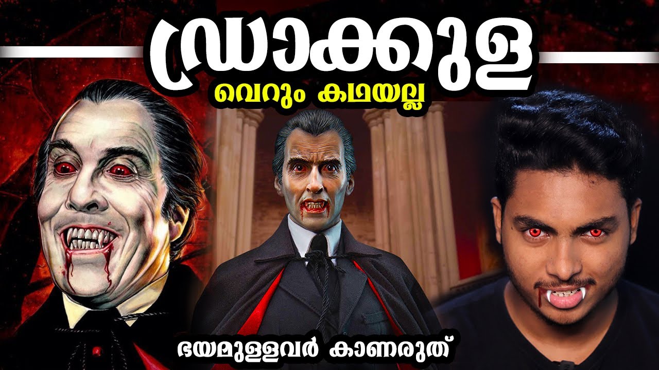 ലോകത്തിലെ ആദ്യ രക്തരക്ഷസ്സിൻ്റെ കഥ | DRACULA REAL STORY IN MALAYALAM | AFWORLD