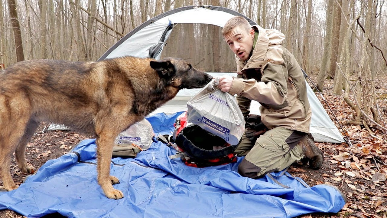 24h Walmart Camping/Survival Challenge $500 Spent on Walmart Camping Gear, Camping with my Dog
