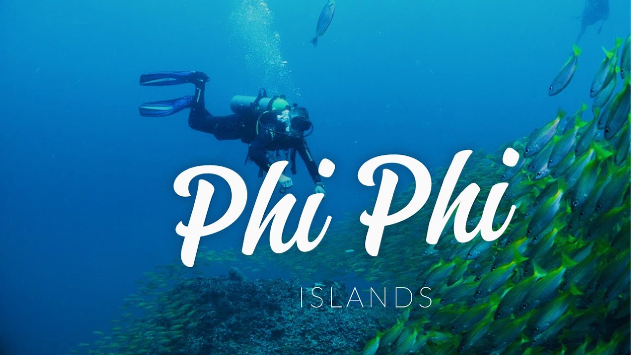 Phi Phi Islands Diving - a day full of fish, sharks and caves