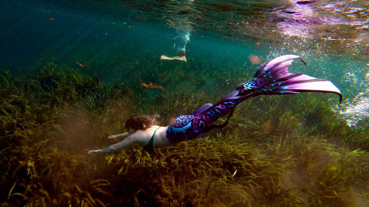 A Mermaid Swim - March 11, 2024