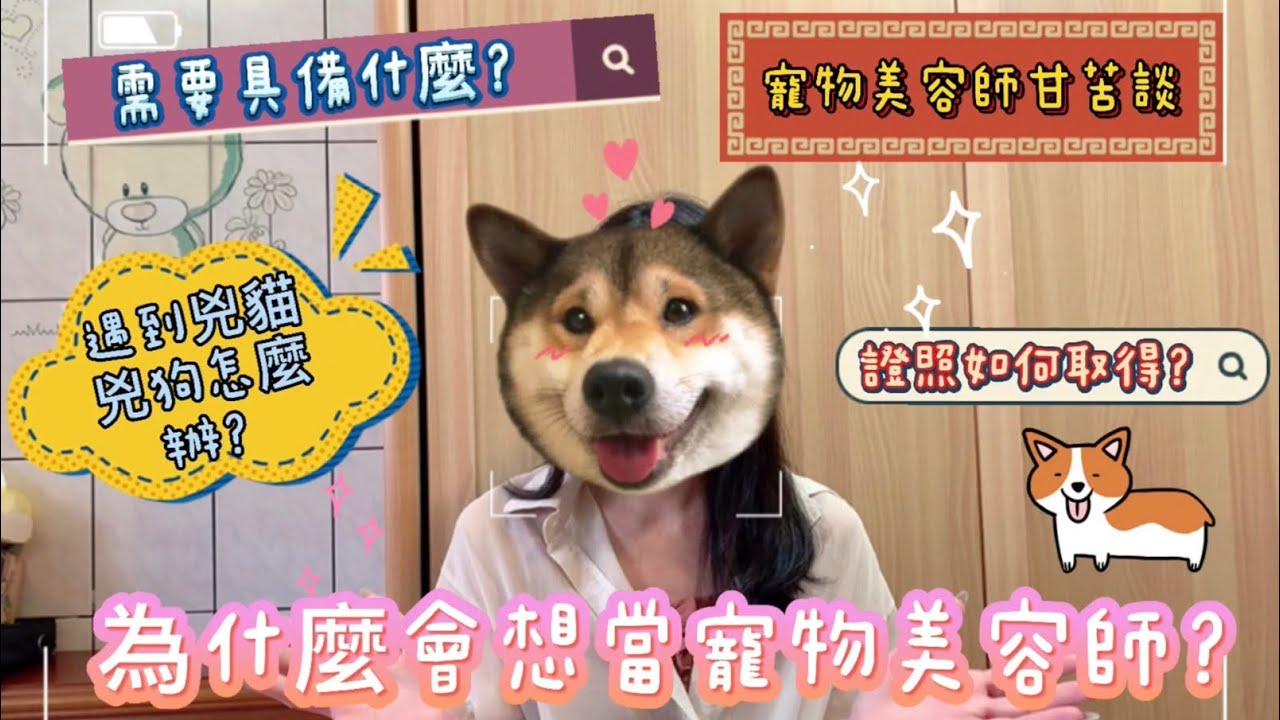 Ep12/為什麼會想當寵物美容師/如果想當寵物美容師需要具備什麼/寵物美容證照/寵物美容師甘苦談