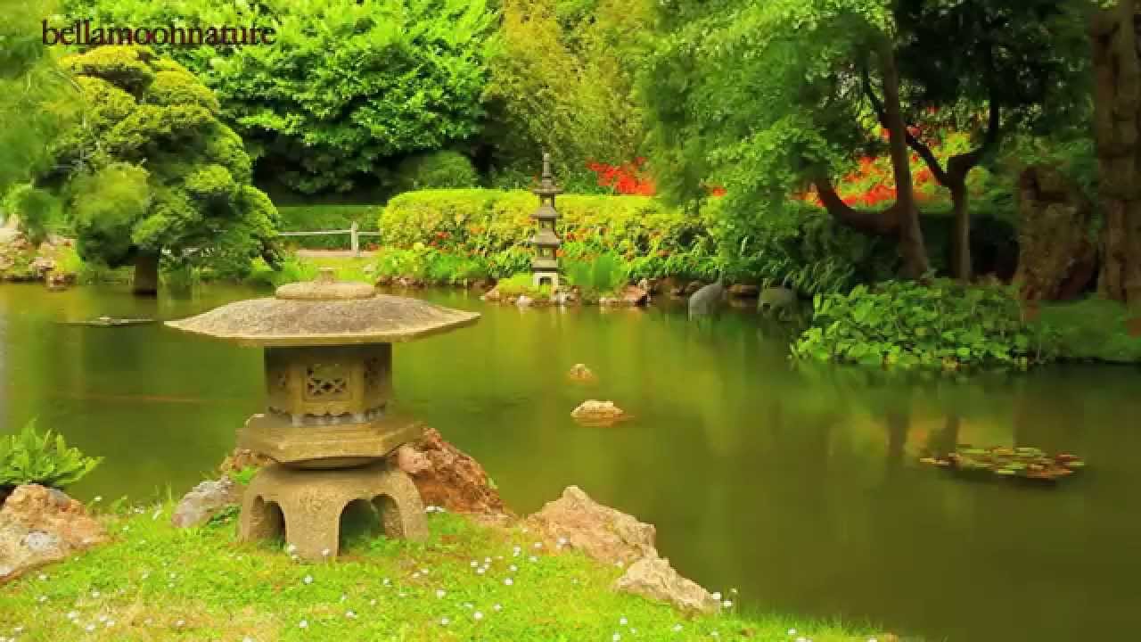JAPANESE TEA GARDEN ✿ GOLDEN GATE PARK ✿ SAN FRANCISCO