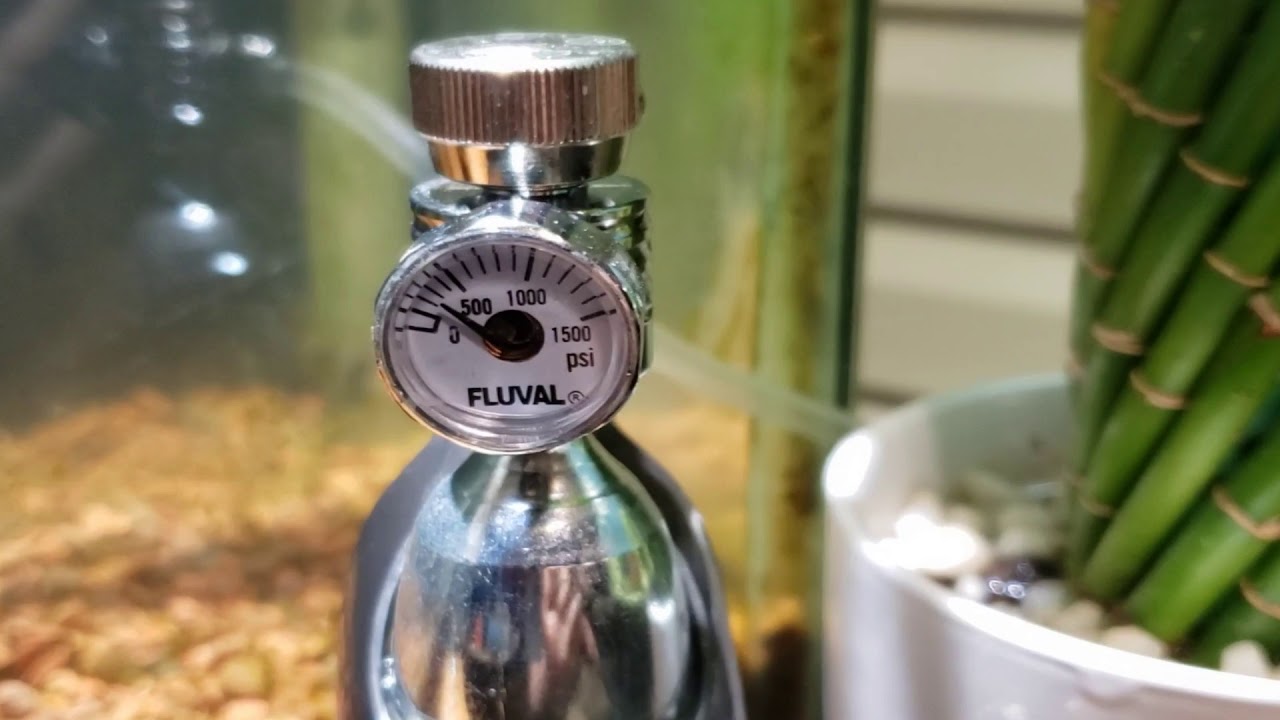 Are the Fluval CO2 Kits Worth It?