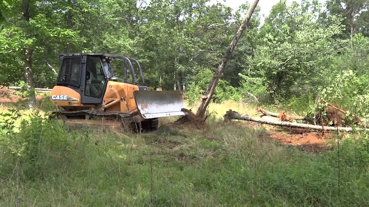 Case dozer clearing trees