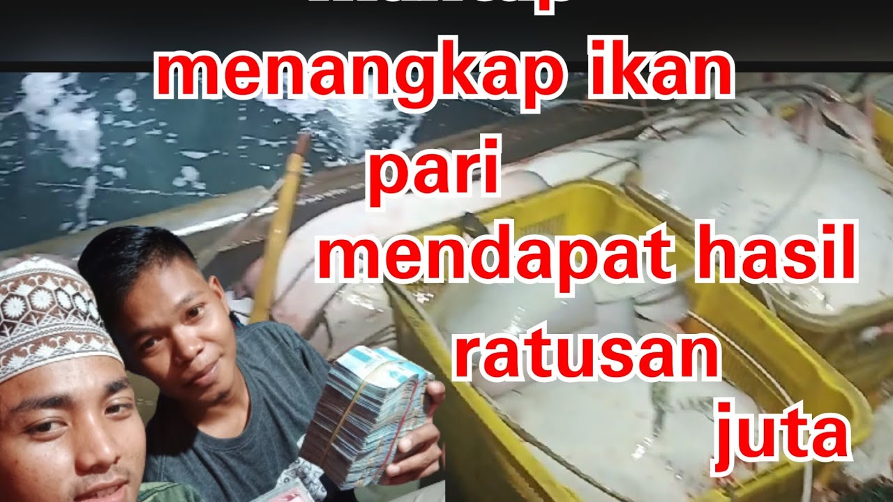 RAWAI SENGGOL IKAN PARI KEMBALI MENDAPAT HASIL RATUSAN JUTA