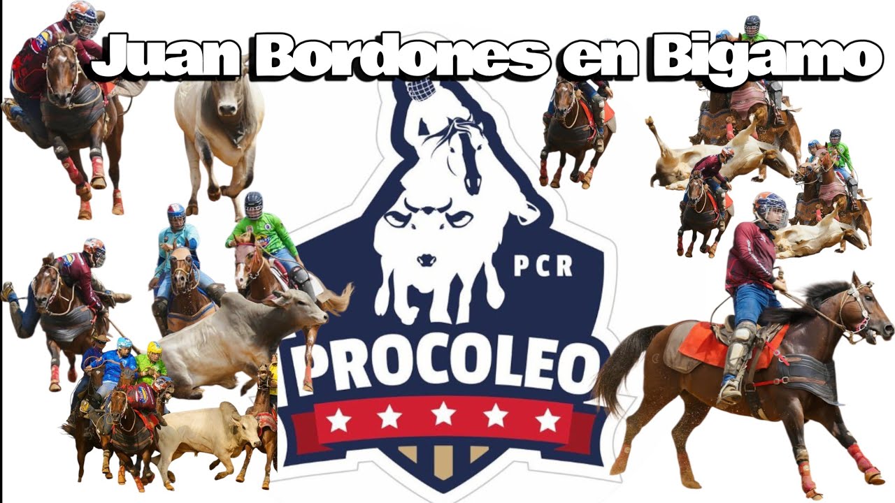 Juan Bordones en Bigamo Pro Coleo Ranking en Black Celis Cow Horses 
