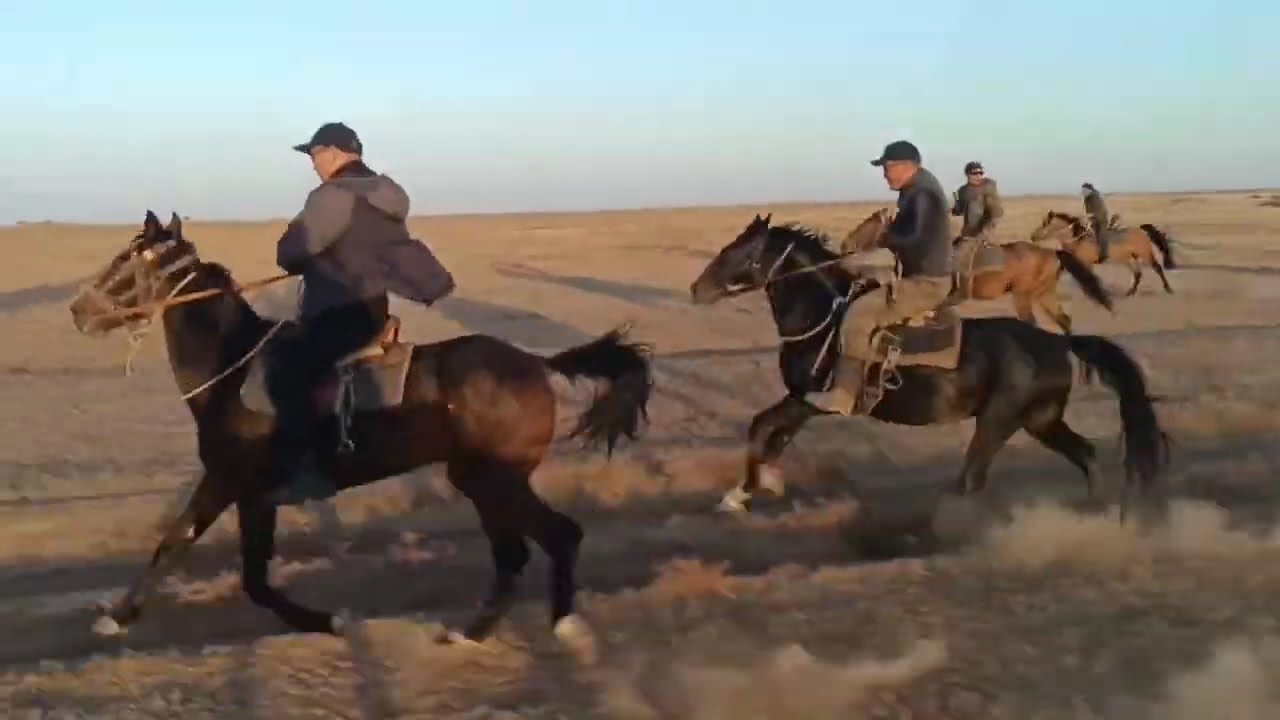 Ээжин Дун .Завершение конного похода ,скачки #horsebackarchery #konieposa