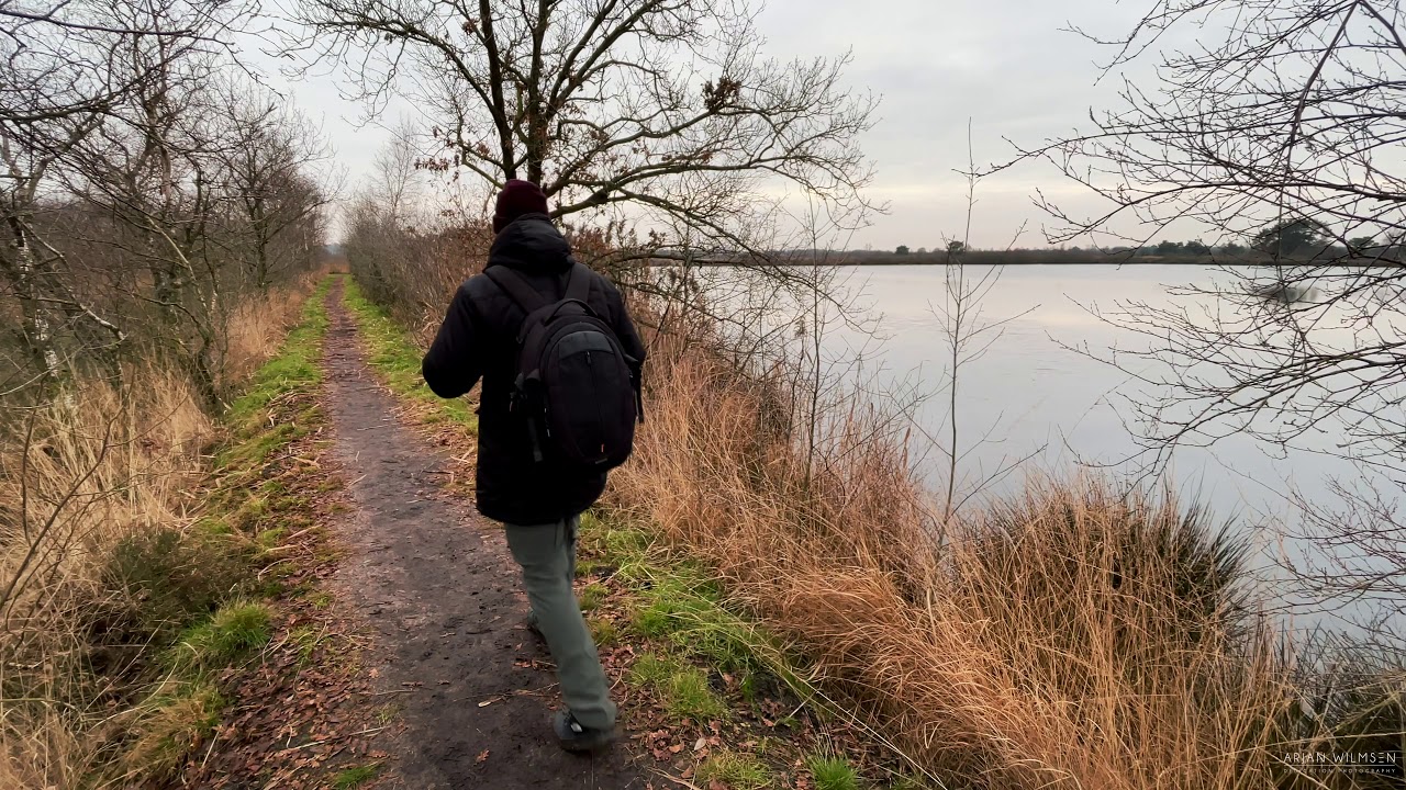 Out and About in Nature - De Groote Peel National Park
