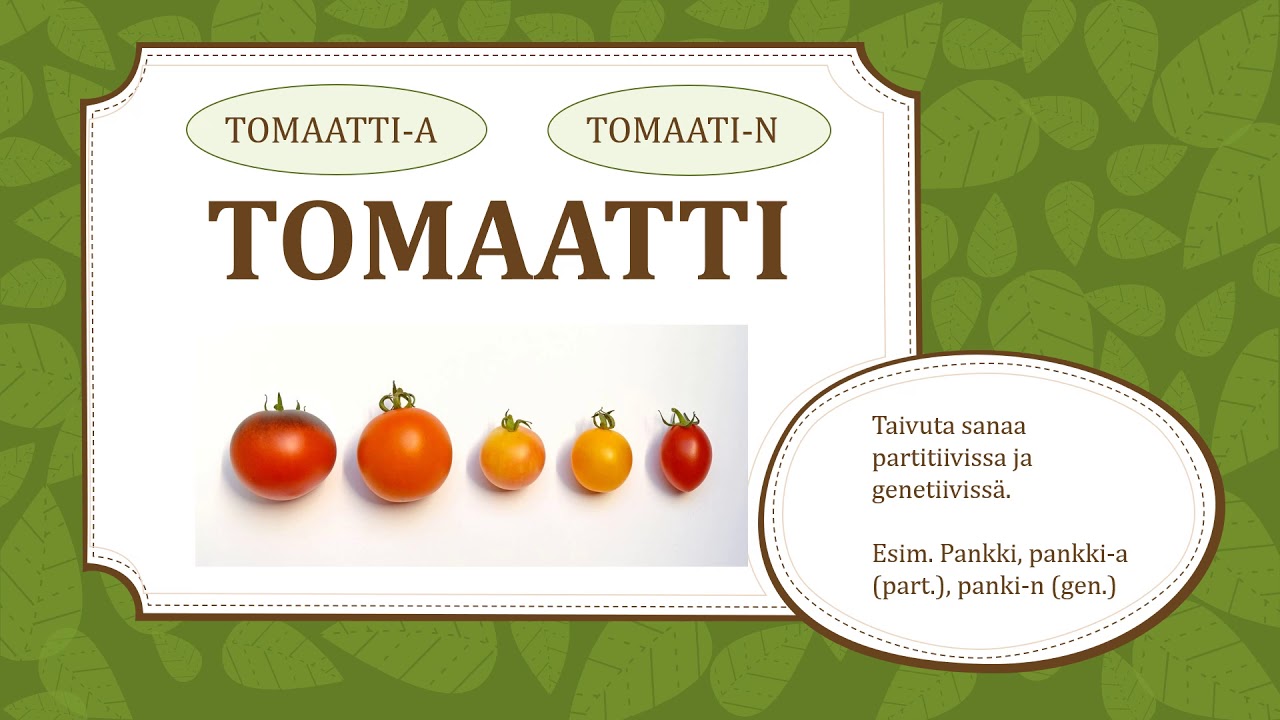 Nominityypit: i ja e -loppuiset sanat