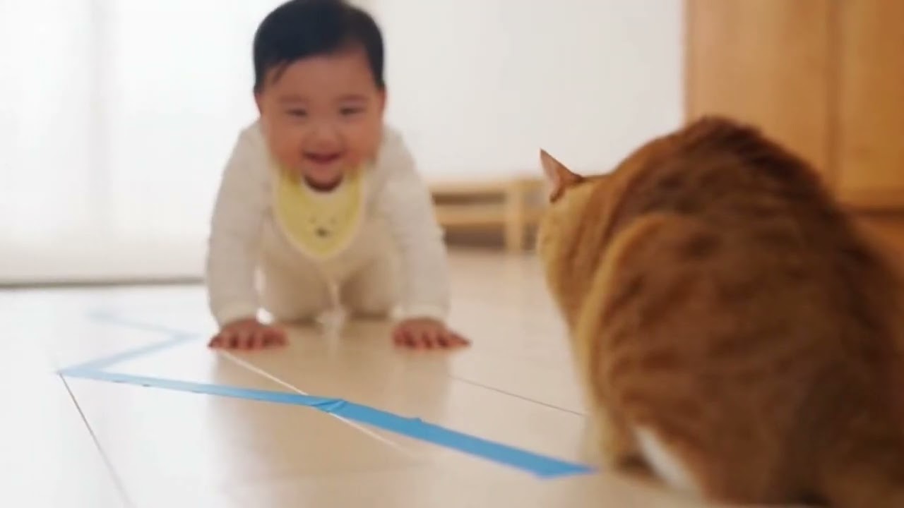先回りして待ってるの頼もしすぎる