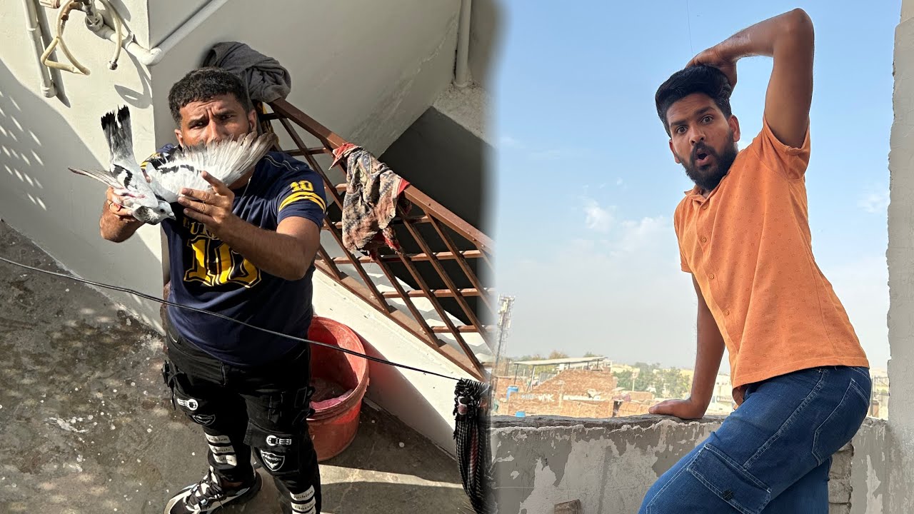 Rafeeq qasai ka kabutar agaya or hamra kabutar patang MN phans gya🥹😱